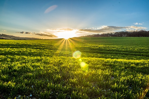 Clean Energy and Making Books: Some Very Good News