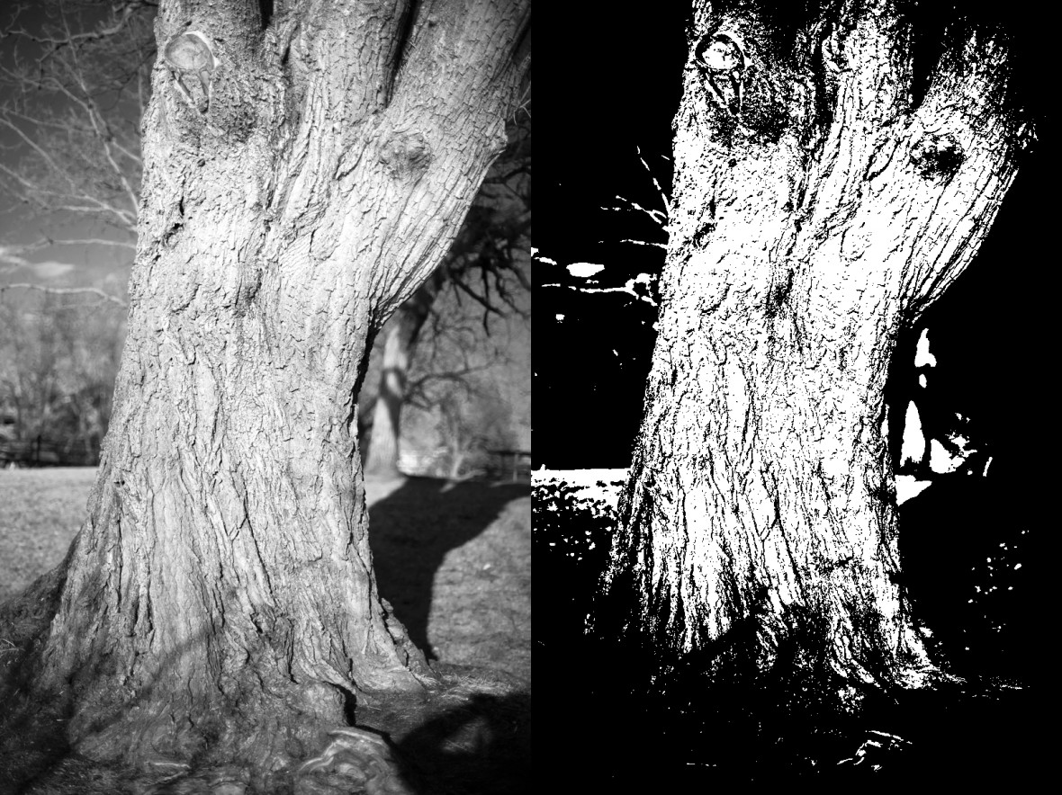 Preparing Line Art for Printing Bookmobile