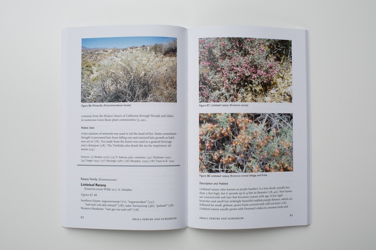 Native Plants of Southern Nevada, An Ethnobotanical Field Guide