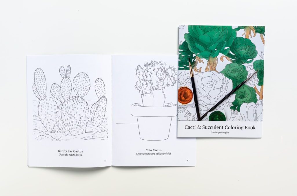 Cacti & Succulent Coloring Book